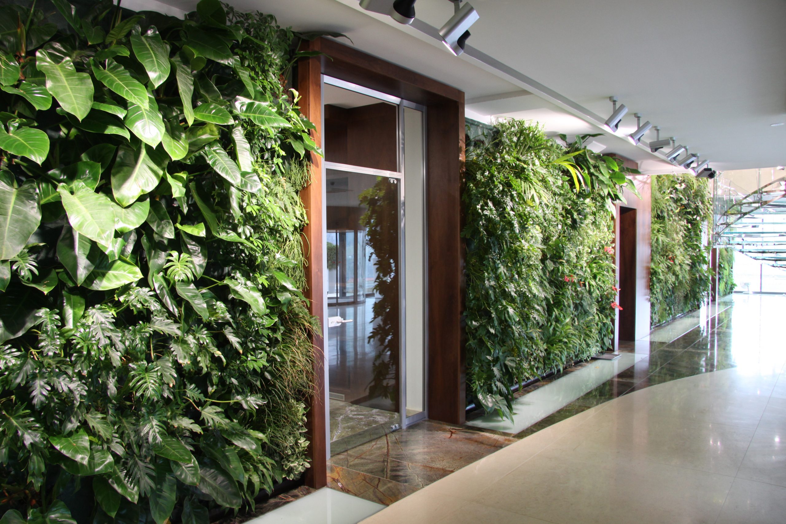 Firemní prostory 1 - obrázek 6